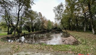 Terrain 8950m²