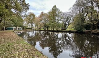 Terrain 8950m²