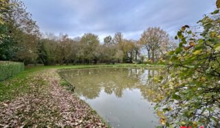 Terrain 8950m²
