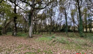 Terrain 8950m²
