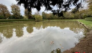 Terrain 8950m²