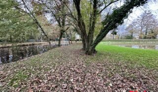 Terrain 8950m²