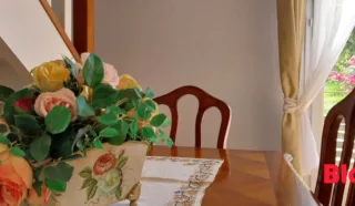 Maison 8 pièce(s)