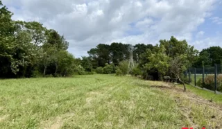 Terrain 5321m²