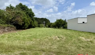 Terrain 5321m²