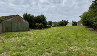 Terrain 5321m²