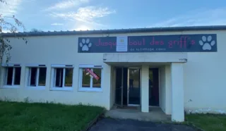  LOCAUX COMMERCIAUX / BUREAUX TINTENIAC 50 m²