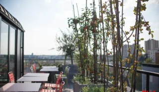  BUREAUX 1 119 m² SAINT-HERBLAIN