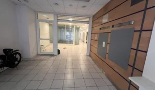  LOCAUX COMMERCIAUX 196 M² NANTES