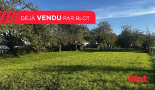 Terrain 569m²