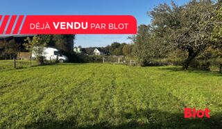 Terrain 569m²
