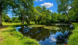 Terrain 8950m²