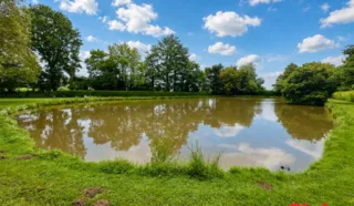 Terrain 8950m²