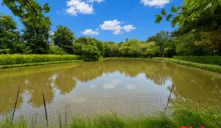 Terrain 8950m²