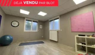 Immeuble 13 pièce(s)