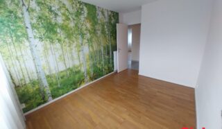 Appartement 5 pièce(s)