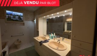 Maison 11 pièce(s)