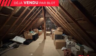 Maison 11 pièce(s)
