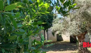 Maison 5 pièce(s)