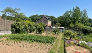 Terrain 650m²