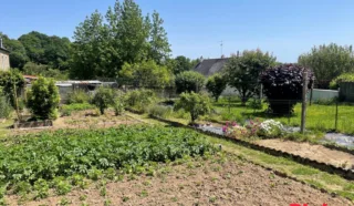 Terrain 650m²