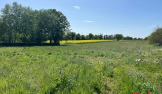 Terrain 13000m²
