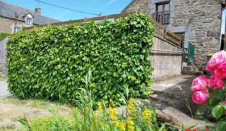 Maison 3 pièce(s)