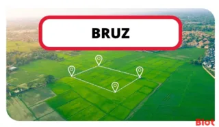  TERRAIN BRUZ 2 335 m²