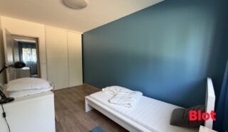 Appartement 3 pièce(s)