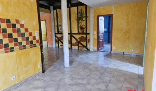 Immeuble 7 pièce(s)