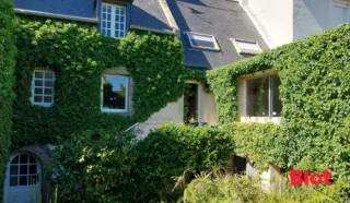 Maison 7 pièce(s)