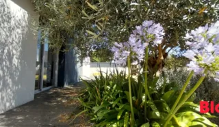 Maison 6 pièce(s)