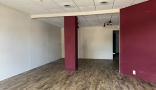  LOCAL PROFESSIONNEL SAINT PHILIBERT 65 m²