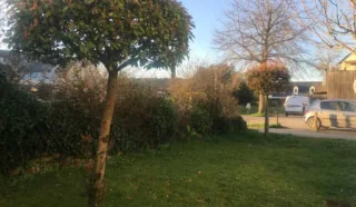  BUREAUX SAINT PHILIBERT 64 m²