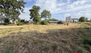 Terrain 730m²