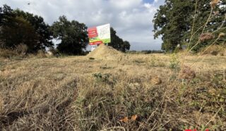 Terrain 730m²