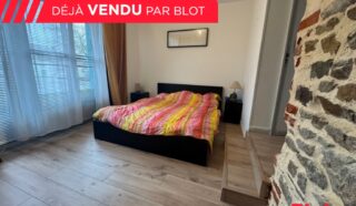 Immeuble 6 pièce(s)