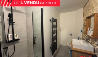 Immeuble 6 pièce(s)