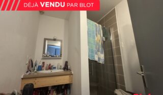 Immeuble 6 pièce(s)