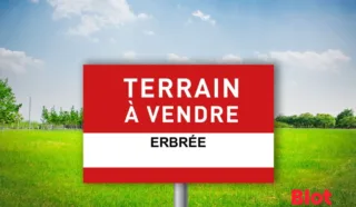 Terrain 481m²