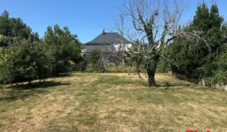 Terrain 443m²