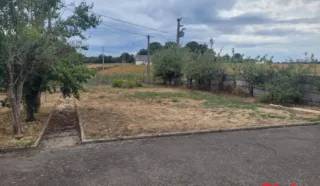 Terrain 642m²