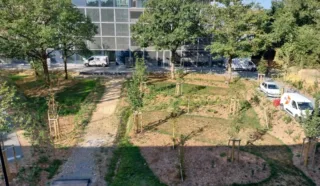  BUREAUX NEUFS RENNES LA COURROUZE 1 827 m² DIVISIBLES