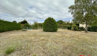Terrain 776m²
