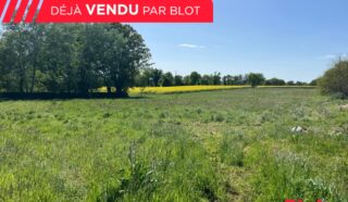 Terrain 13000m²