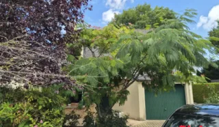 Maison 3 pièce(s)