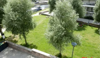 Appartement 4 pièce(s)