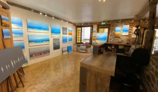  LOCAUX COMMERCIAUX AVEC HABITATION DINAN 178 m²