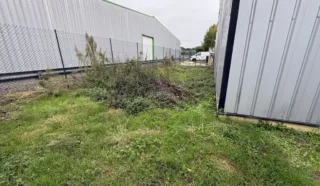  LOCAL D'ACTIVITÉ 250 m² BETTON