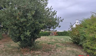 Terrain 406m²